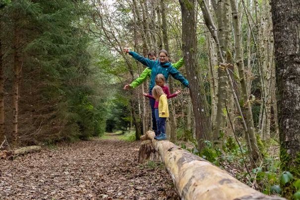Kinder beim Bilanzieren auf dem Walderlebnispfad Meggenthal