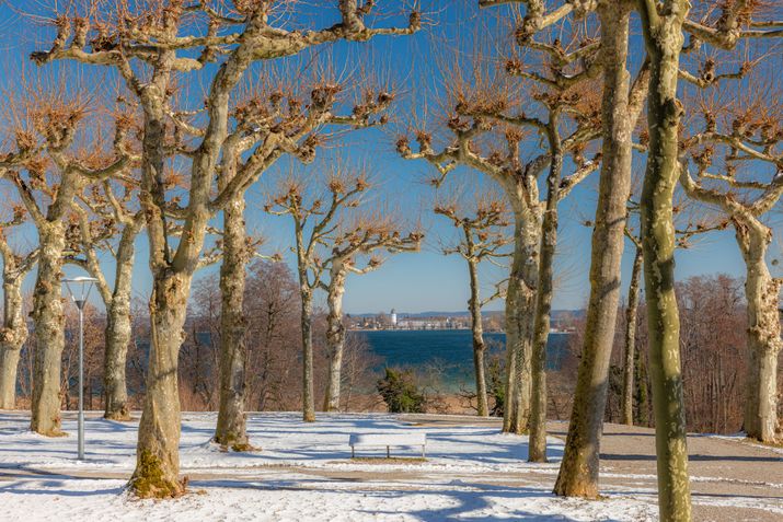 Winterlandschaft am Chiemsee