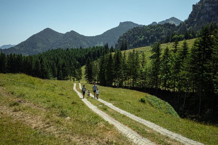 Wanderweg zur Weißenalm mit Ausblick auf die Gedererwand