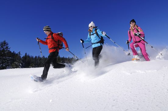 Schneeschuhlaufen, Hemmersuppenalm, Reit im Winkl, Bayern, Deutschland, Model Released